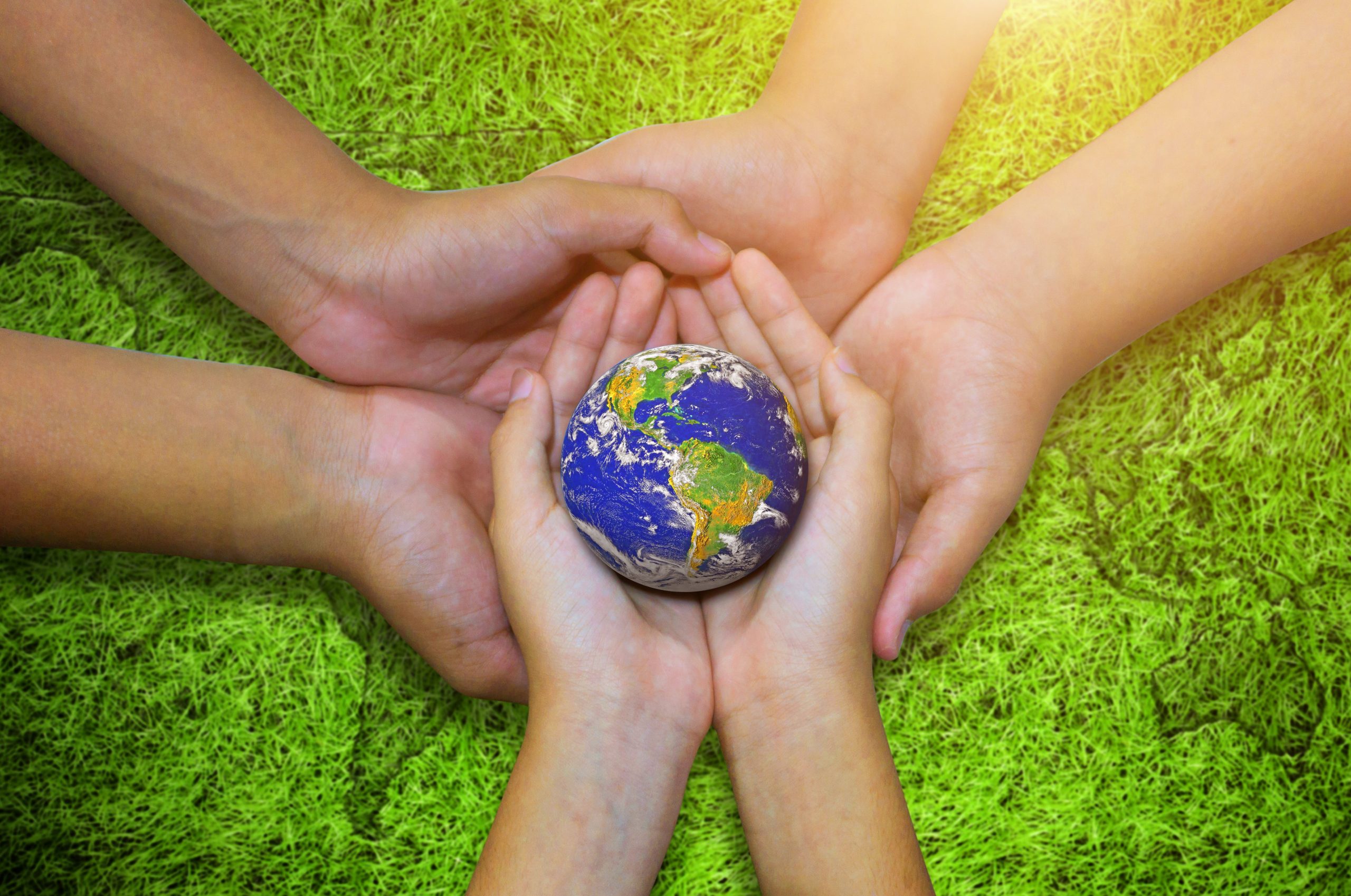 Benefits of Adopting Sustainable Practices
